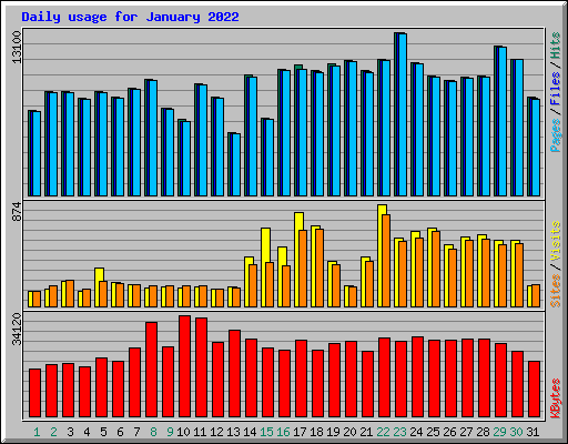 Daily usage for January 2022