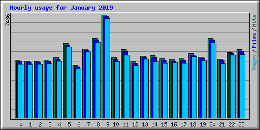 Hourly usage for January 2019