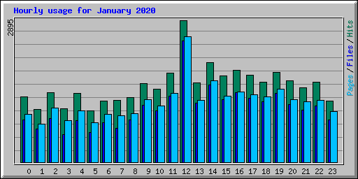 Hourly usage for January 2020