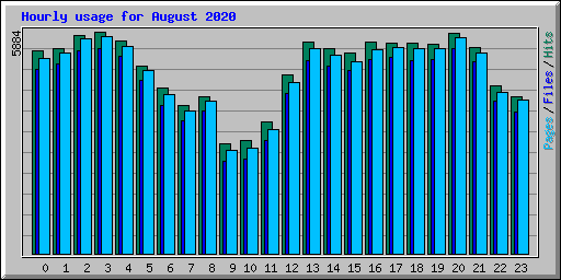 Hourly usage for August 2020