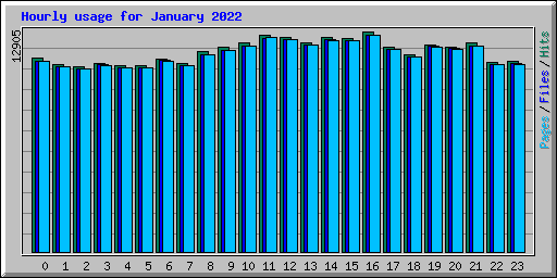 Hourly usage for January 2022