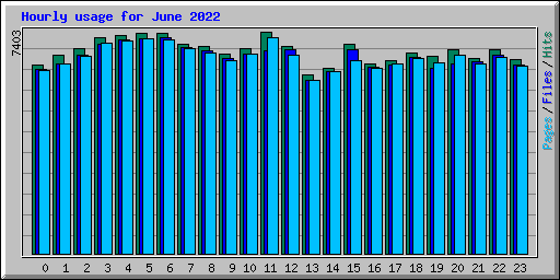 Hourly usage for June 2022