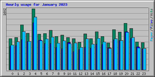 Hourly usage for January 2023